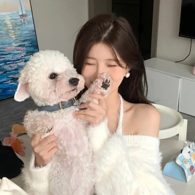 半田君传说